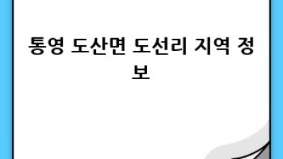 통영 도산면 도선리 용달이사: 꿀팁 가득한 이사 가이드